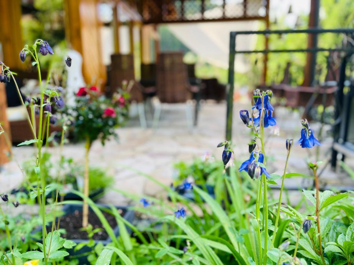 Alpenpension Gasthof Ratten 외부 사진
