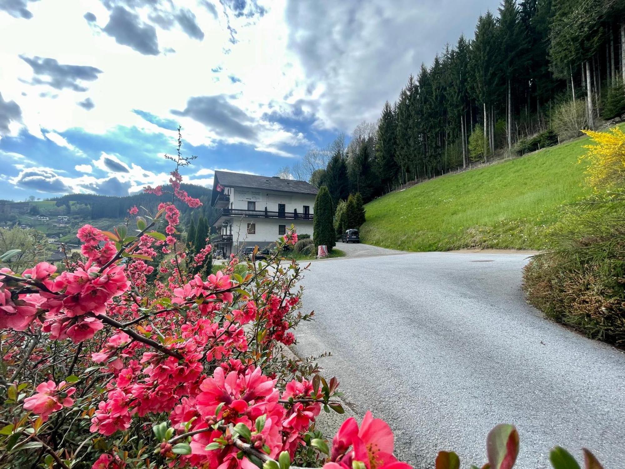Alpenpension Gasthof Ratten 외부 사진